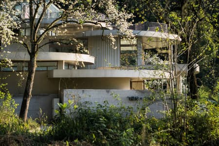 Buzzy Sunny· Feixue Pavilion